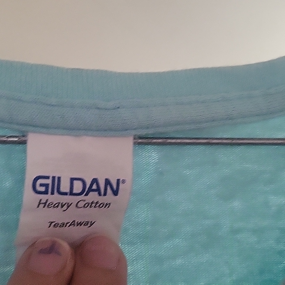 Gildan Blueish, Teal shirt Large